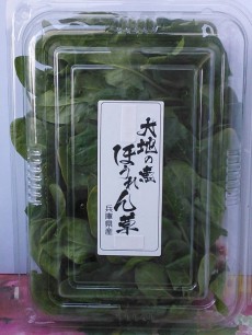 NEC_0282大地の恵ほうれん草②2014.3.10