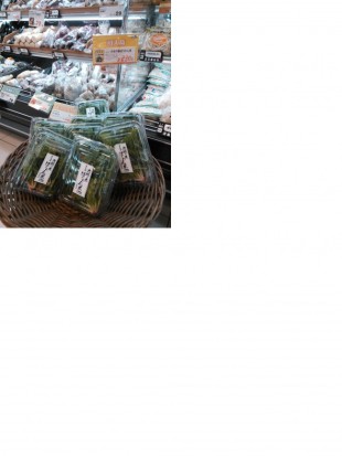 50%サイズNEC_0125いかりスーパー夙川店「大地の恵ほうれんん草」（2014.2